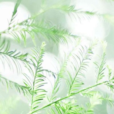 暗夜西游手游下载